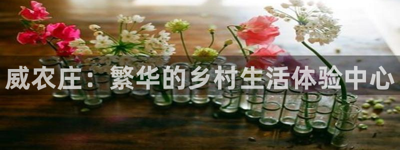 pg电子直播号