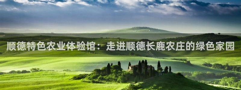 pg电子游戏机制