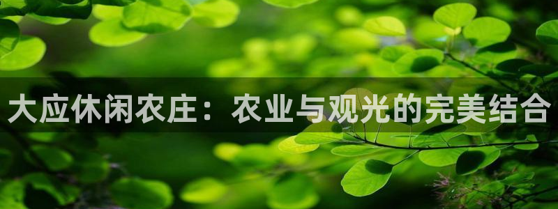 电子游戏PG爆分期后