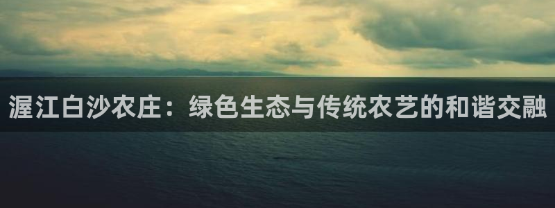 pg电子最大奖