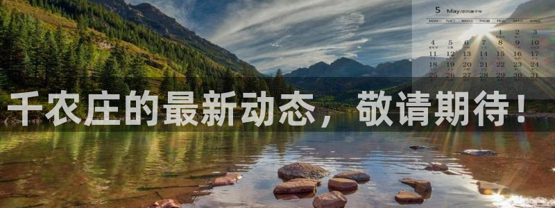 pg电子游戏正版官网