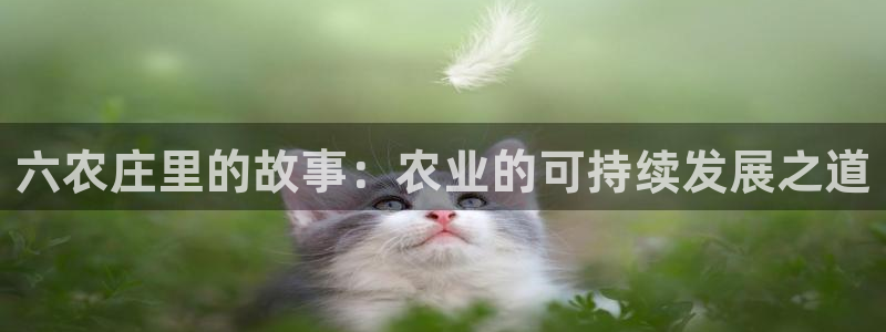 pg夜醉佳人电子游戏