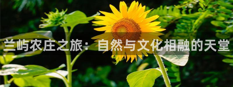 pg电子娱乐官网版