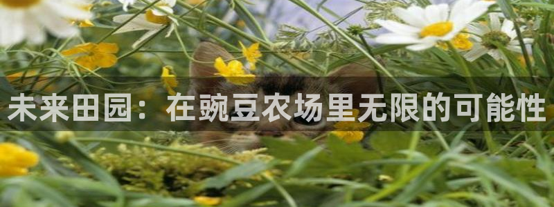 pg雪崩 电子说明书