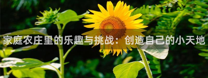 pg电子游戏体验金