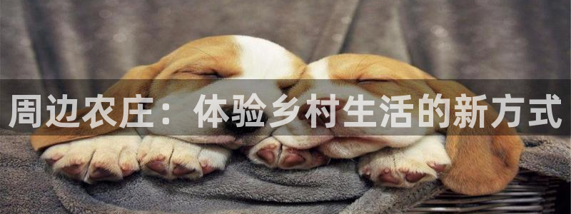 pg电子游戏交流群