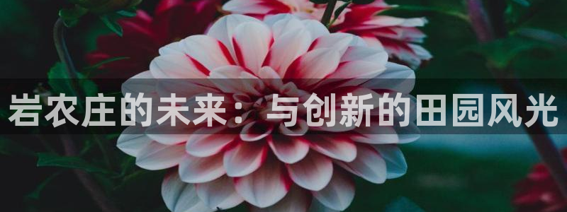 pg电子游戏试玩网