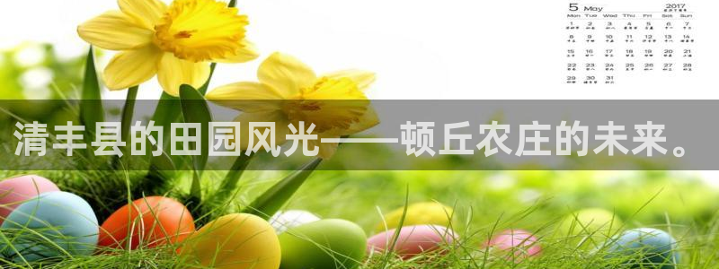 pg电子系列爆分视频