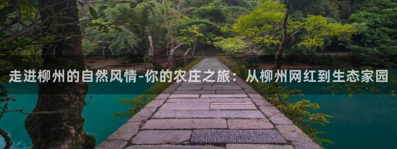 pg电子官方下载