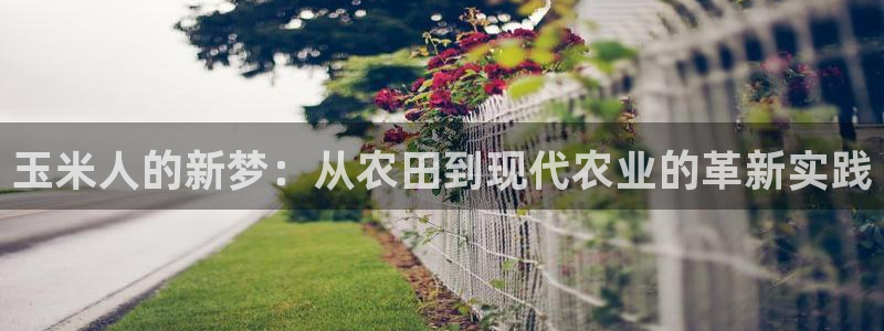 pg电子脚本