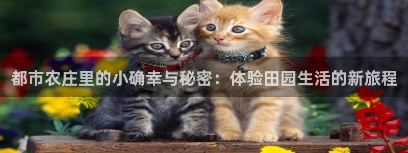 pg电子玩法心得