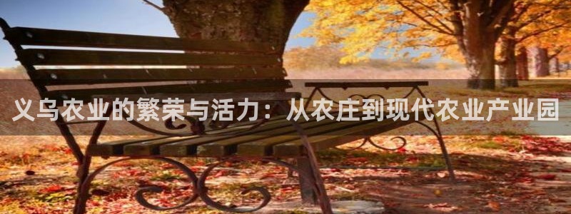 pg电子官方网站