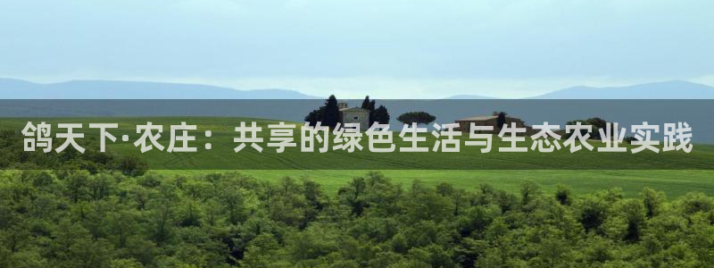 电子怎么藏分pg