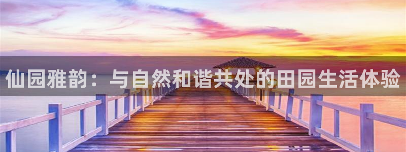 pg电子游戏在哪玩
