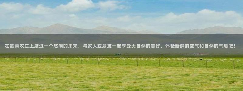 pg电子娱乐爆分视频