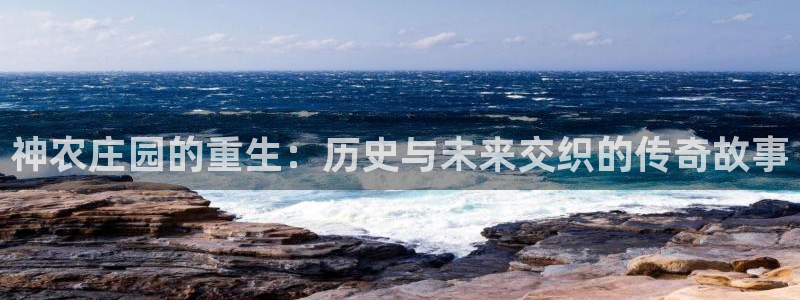 麻将胡了pg电子套路