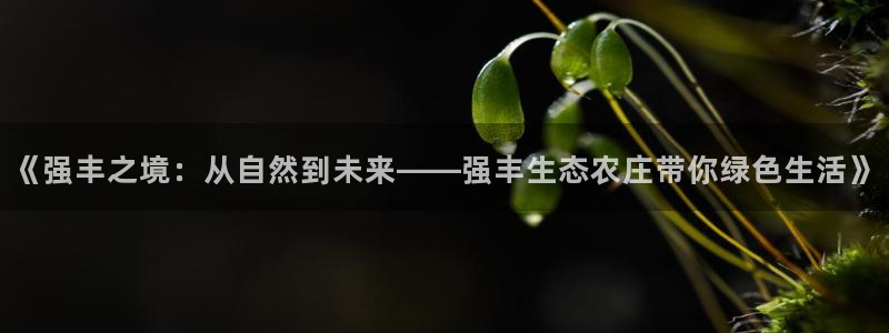 pg电子平台手机app