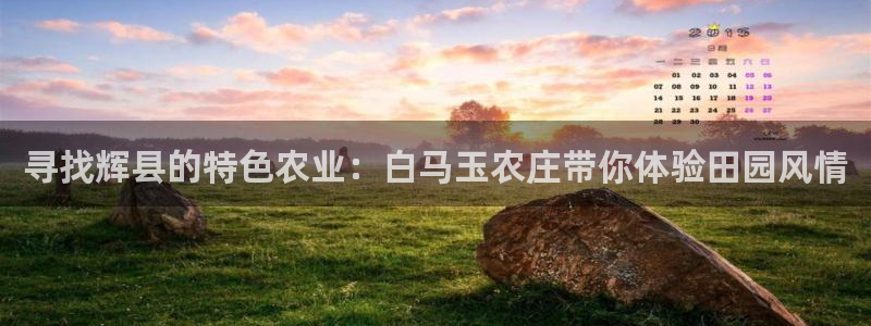 pg电子高爆率玩法