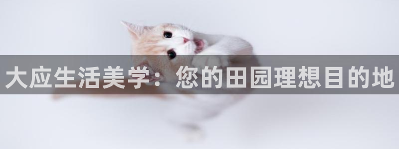 pg电子免费游戏爆分