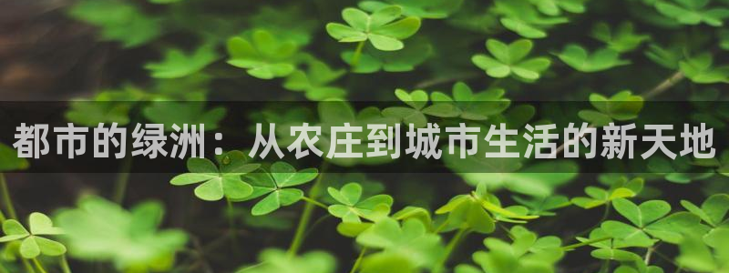网络上的电子赌博PG