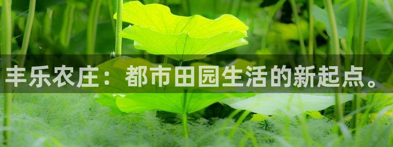 pg电子竞技游戏