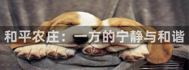 pg电子为什么老是维护