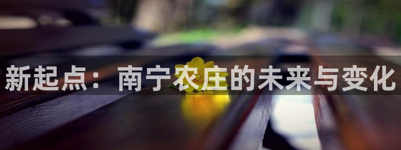 pg电子黄金城游戏视频