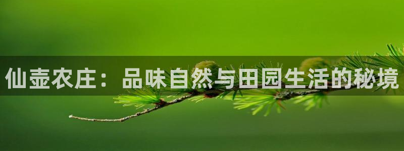 pg电子艳后之谜是什么