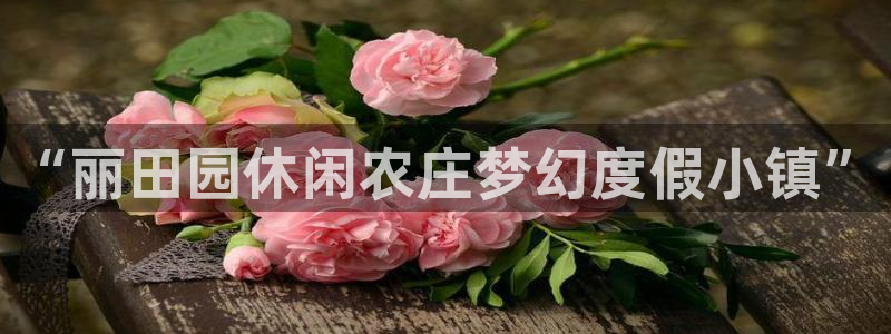 pg电子埃及寻宝视频