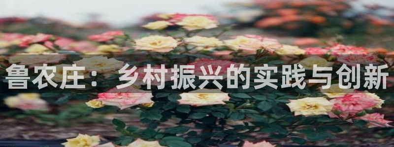 pg电子最新网站入口