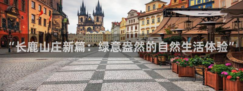 三只猴子pg电子