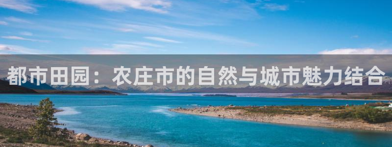 pg电子app全能版