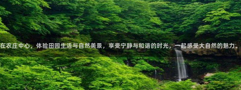 网站电子游戏PG怎么打