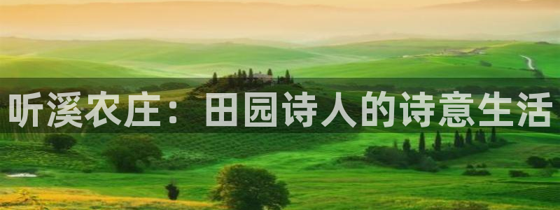 电子pg游戏网址