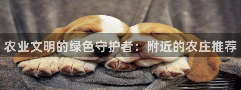 pg电子麻将胡了爆分