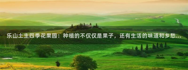 网络上的电子赌博PG