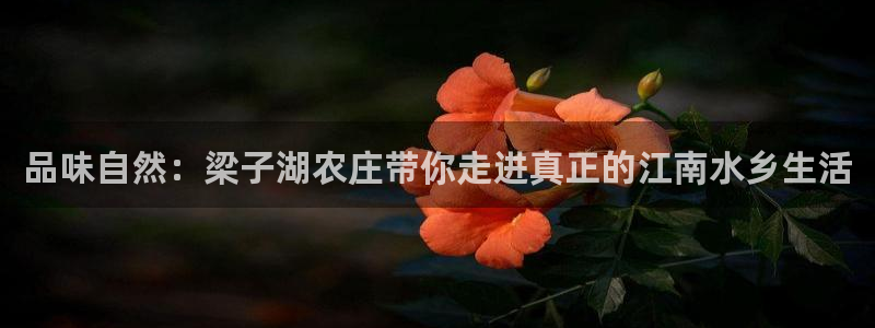 电子游戏PG压大