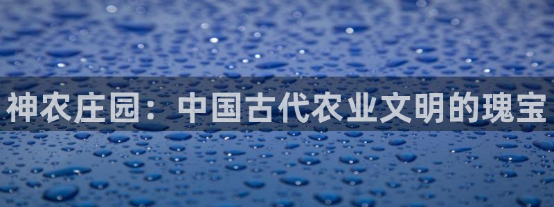 最大pg电子游戏官网