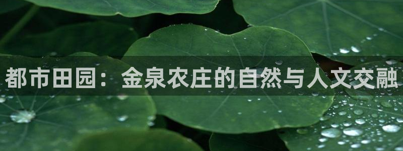 澳门PG电子网址