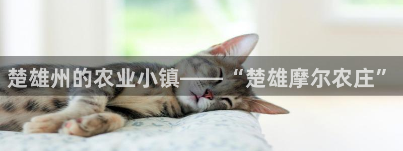 pg电子网址是多少