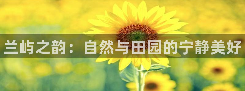 PG电子最后有赢钱的吗