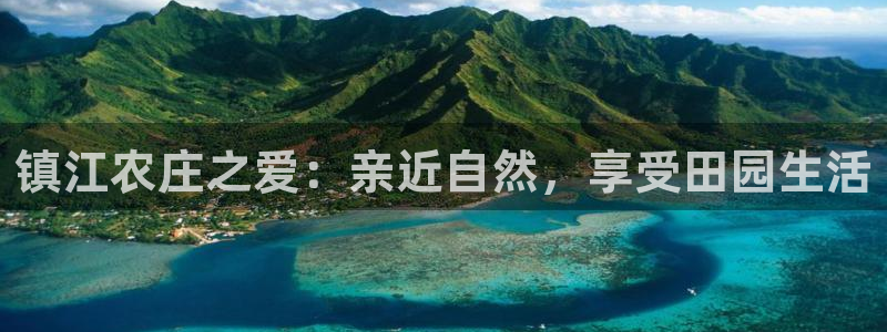 单机pg电子游戏