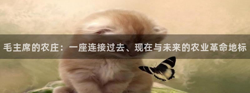 pg福运象财神电子游戏