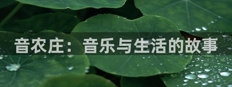 pg电子体育下载