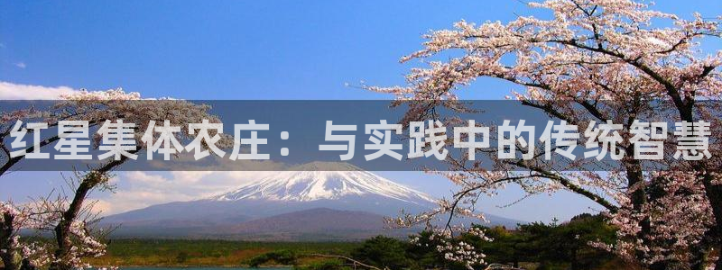 pg电子赏金女王攻略