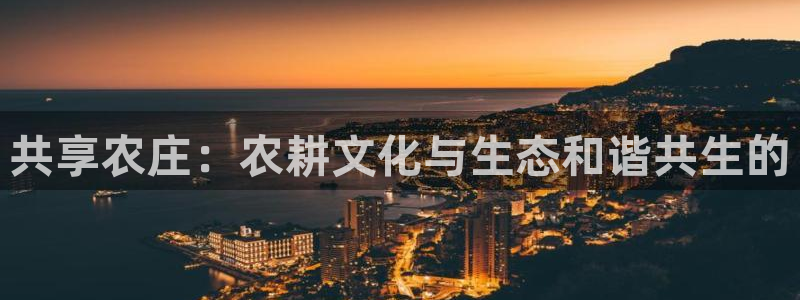 电子游戏PG新国碎