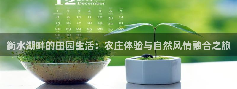 娱乐入口pg电子