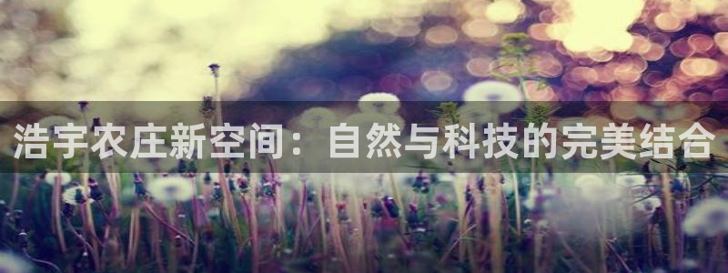 pg电子算赌博吗