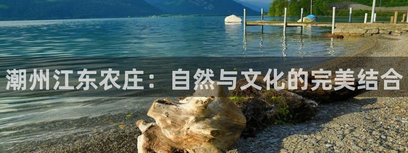 pg电子什么时候最容易爆大奖