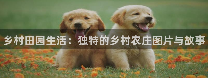 pg电子维护后会放水吗